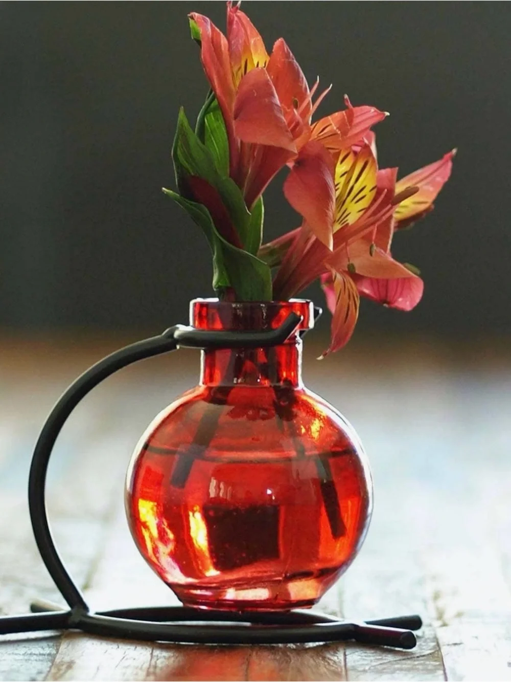Red Glass Propagation Vase with Black Metal Stand — Sleek Tabletop Accent
